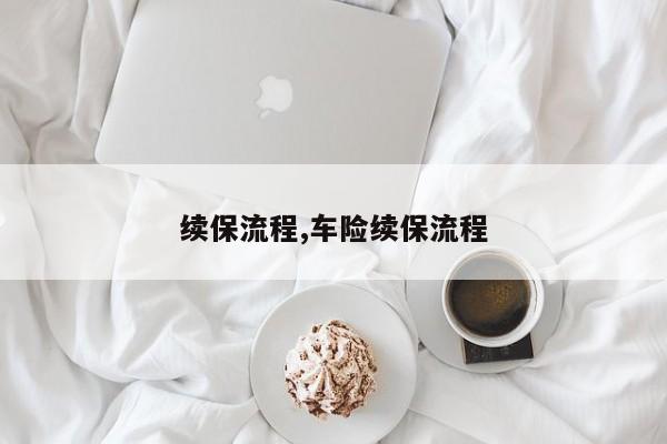 续保流程,车险续保流程