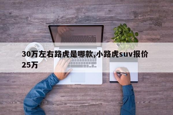 30万左右路虎是哪款,小路虎suv报价 25万
