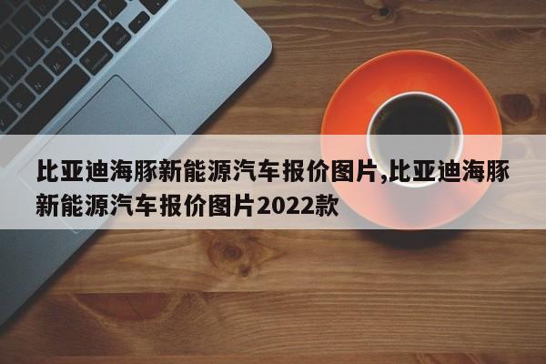 比亚迪海豚新能源汽车报价图片,比亚迪海豚新能源汽车报价图片2022款