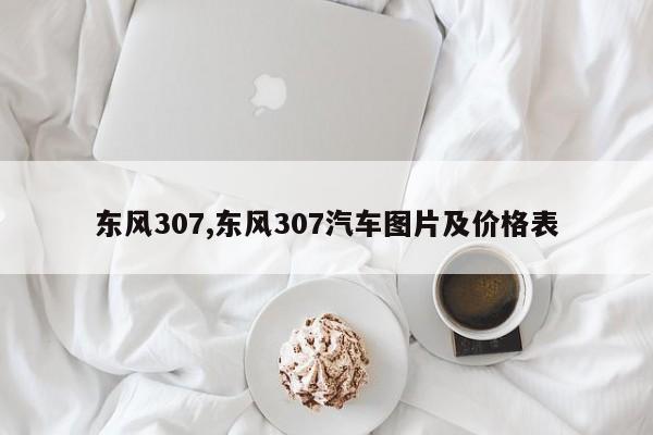 东风307,东风307汽车图片及价格表