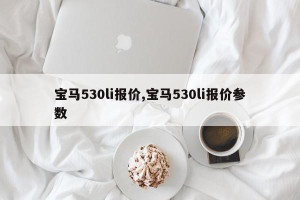 宝马530li报价,宝马530li报价参数