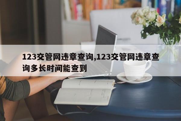 123交管网违章查询,123交管网违章查询多长时间能查到
