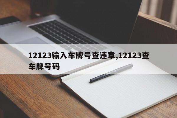 12123输入车牌号查违章,12123查车牌号码