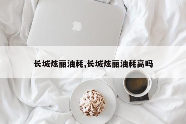 长城炫丽油耗,长城炫丽油耗高吗